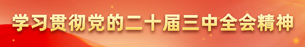 学习贯彻党的二十届三中全会精神