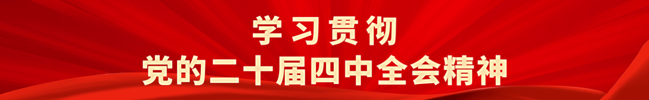学习贯彻党的二十届四中全会精神
