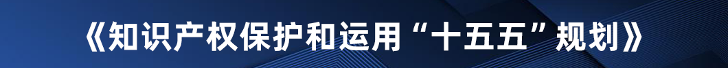 《知识产权保护和运用“十五五”规划》