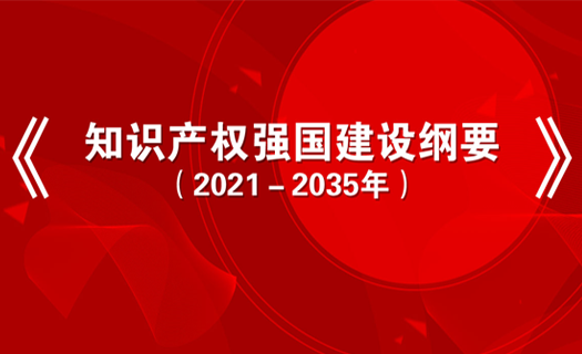 知识产权强国建设纲要
